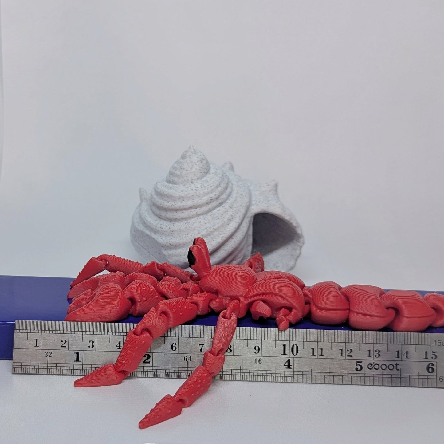 Hermit Crab