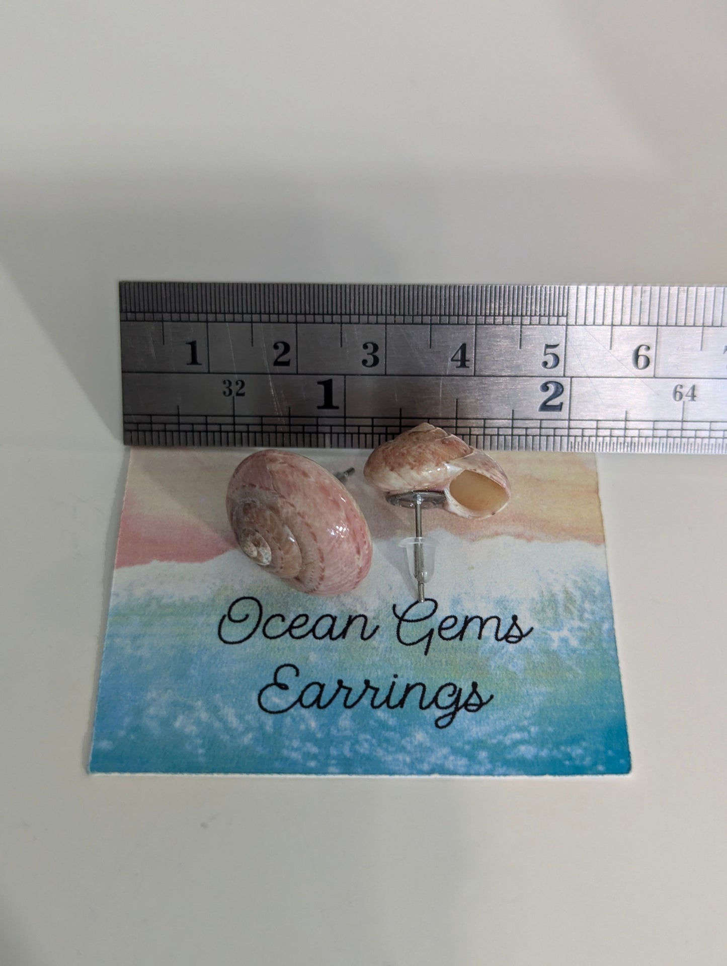 Umbonium Seashell Earrings
