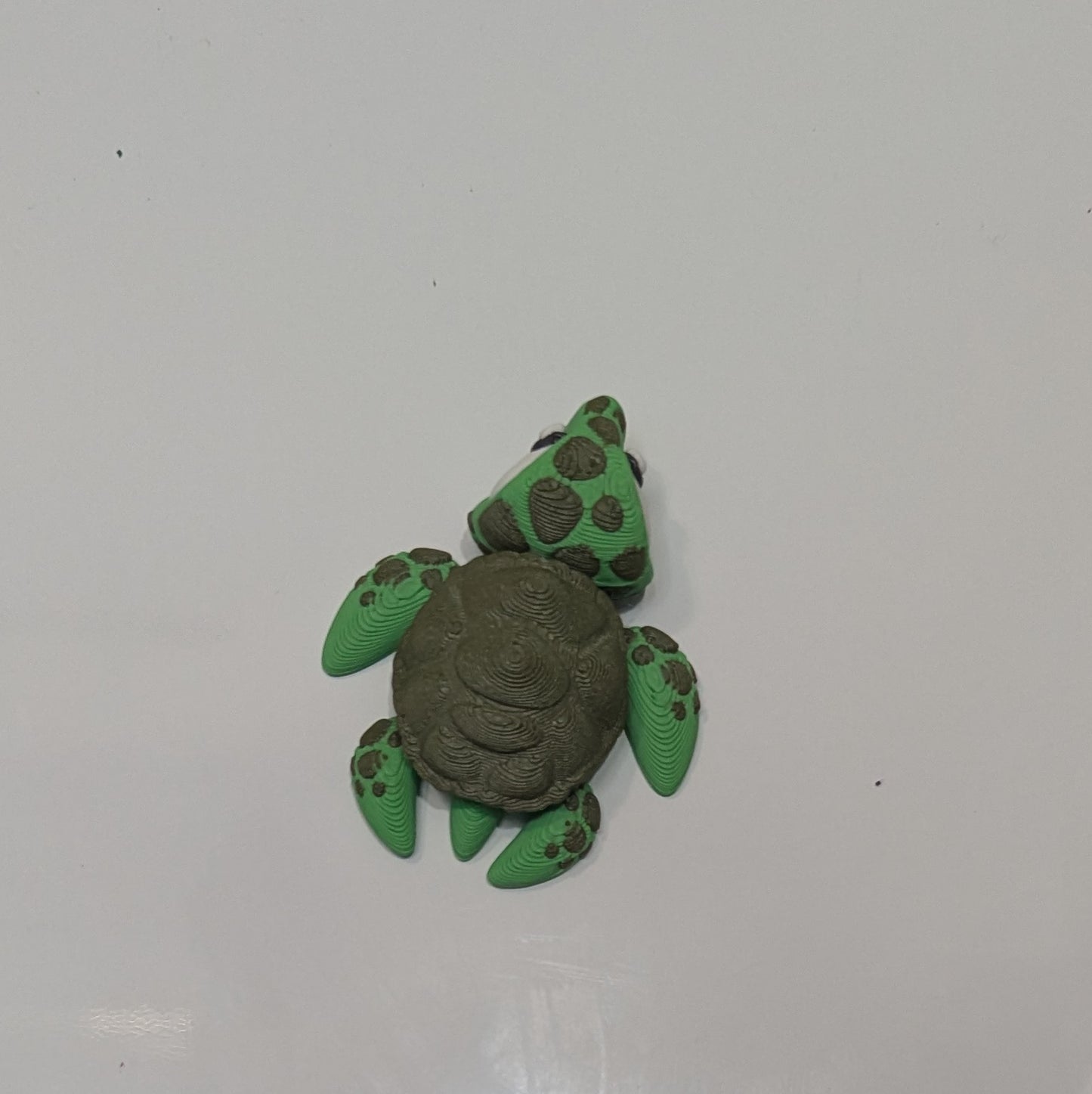 Turtle magnet