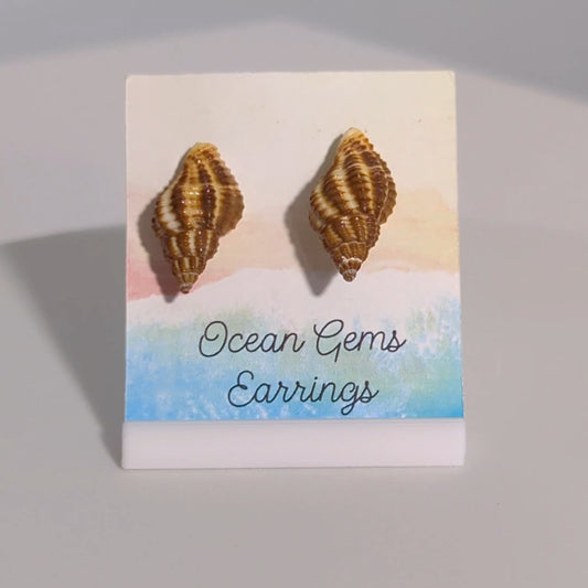 Pollia Fumosa Seashell Earrings