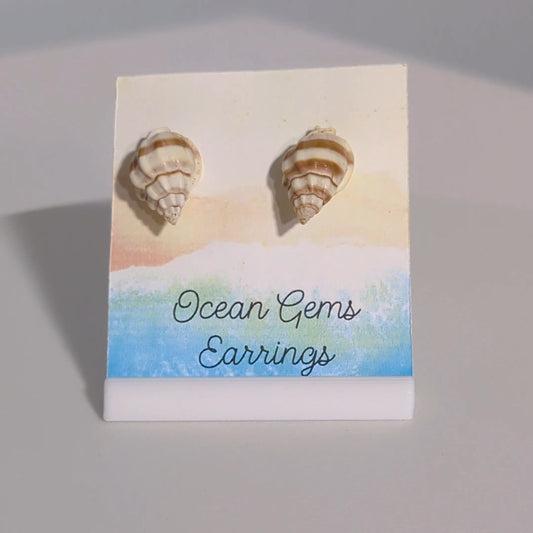 Nassa Seashell Earrings